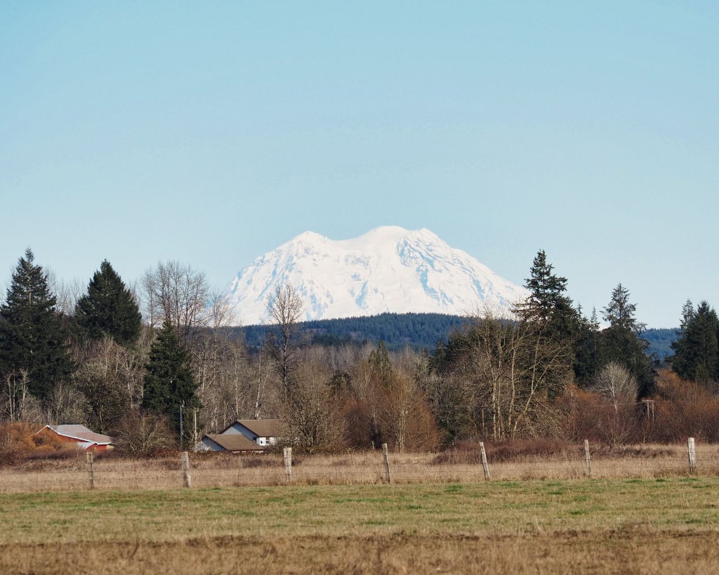 Mount Rainier above farmland near Enumclaw, WA