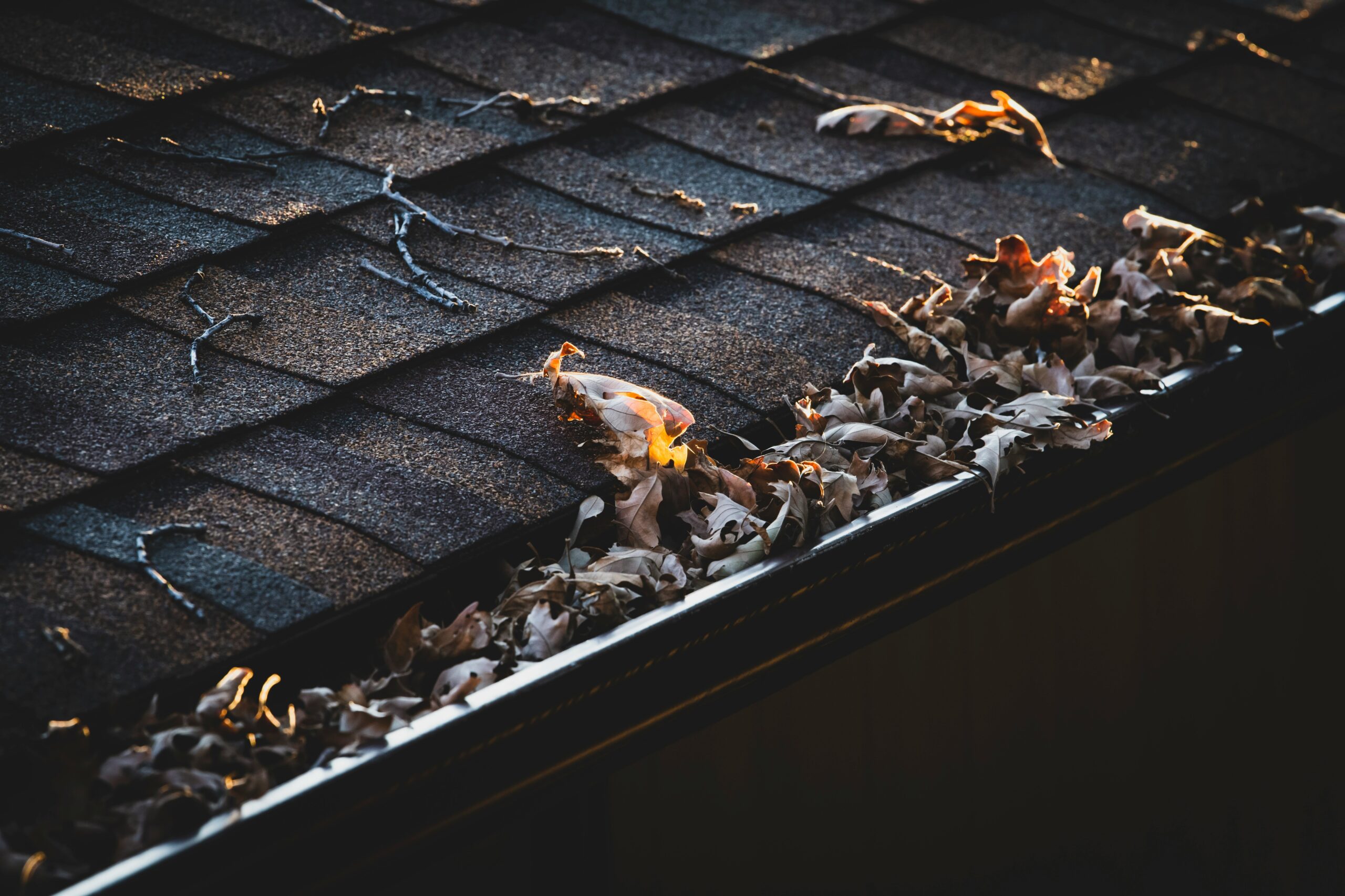 Gutter clogged with leaves and debris