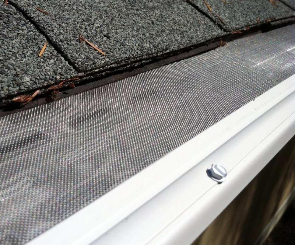 Moss and buildup on a roof surface